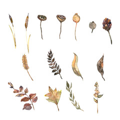 Big set watercolor elements. Wildflowers, herbs, leaves.collection of garden and wild, forest herbs, flowers, branches. Illustration isolated on a white background, Botanical - 459824394