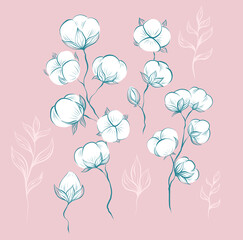 Delicate natural set of sketches of cotton plant and stems with foliage on a pink background. Vector gentle herbal image with stems with fluffy balls isolated from background.