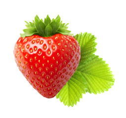 Red berry strawberry isolated