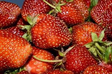 Red ripe strawberries background. Close up, top view.
