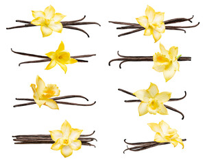 Set with vanilla pods and flowers isolated on the white background. Collection of vanilla orhid flowers and vanilla sticks.