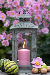 romantische Dekoration mit pink Herbst-Anemonen und vintage Laterne