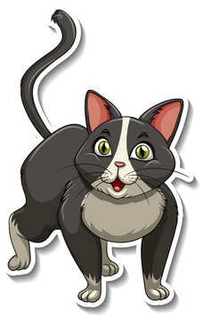 A sticker template of cat cartoon character