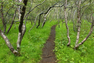 Hiking trail from Husadalur to Valahnukur in Porsmörk, Iceland, Europe
