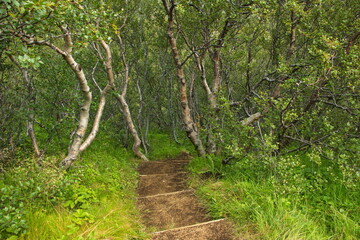 Hiking trail from Husadalur to Valahnukur in Porsmörk, Iceland, Europe
