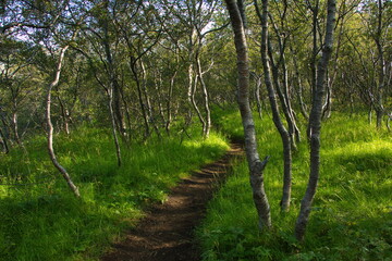 Hiking trail from Husadalur to Valahnukur in Porsmörk, Iceland, Europe
