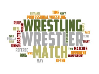 Obraz premium professional wrestling wordcloud concept, wordart,