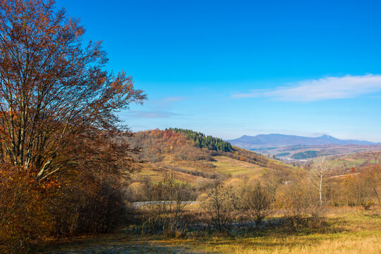 countryside mountain landscape in autumn. trees in colorful foliage on hills rolling in to the distant ridge. beautiful sunny morning in carpathians