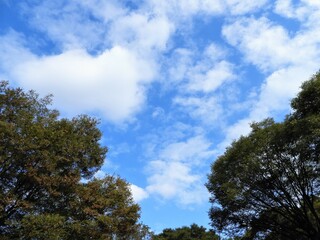 Obraz premium 秋の空