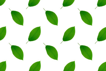 Green leaves natural pattern background.