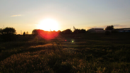 Field during sunset sun and sun glare 