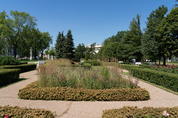 City park in summer in sunny weather.