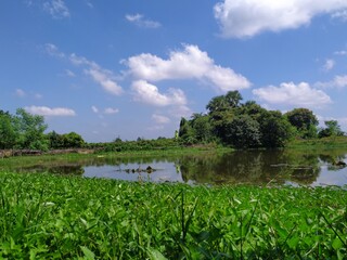 Beautiful Bangladesh nature view full HD