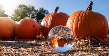 Glass sphere with pumpkins and sky background, fall harvest composition.