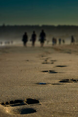 Footprints in the sand Jeffreys Bay South Africa