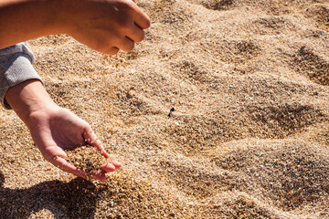 Child holding shells and coral. Corral strand beach, county Galway, Ireland, Warm sunny day. Exploring nature concept