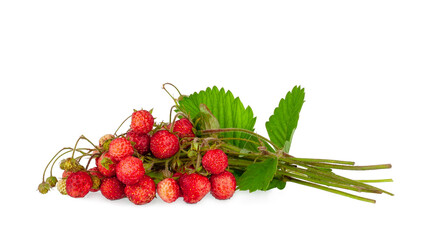 Wild strawberry isolated on a white background.