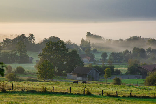 Murnauer Moos im Morgennebel