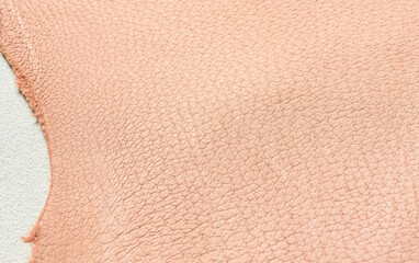 The surface of pig leather.