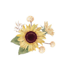Set of cute sunflowers flowers branches and leaves. Watercolor illustration