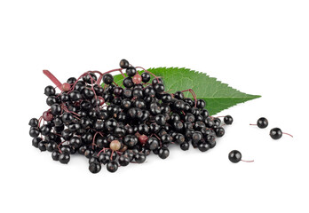 Elderberry isolated on a white background