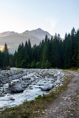 Fototapeta premium Lowrr part of Javorova dolina valley in Vysoke Tatry mountains in Slovakia