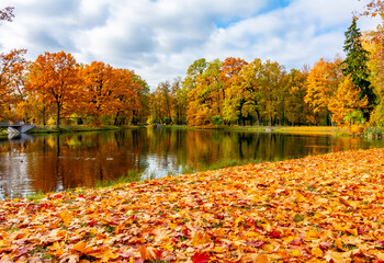 Pond in Alexander park in autumn, Pushkin (Tsarskoe Selo), Saint Petersburg, Russia