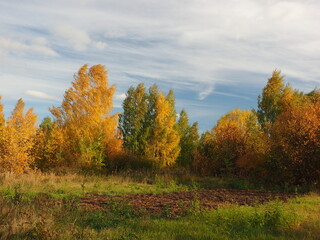 Fototapeta premium Autumn. Autumn forest, abandoned field and road. Beautiful sky with clouds. Russia, Ural, Perm region