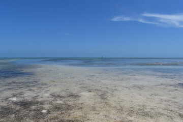 Fototapeta na wymiar Low tide in the Florida Keys