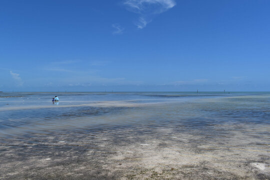 Low tide in the Florida Keys