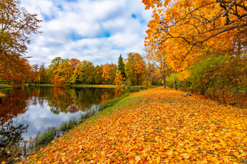 Alexander park in autumn, Pushkin (Tsarskoe Selo), Saint Petersburg, Russia