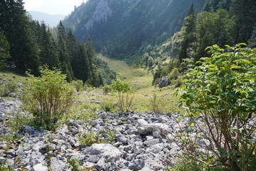 Wanderung Maximiliansweg - Gleishang - Soinsee: Die Skipiste entlang