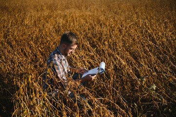 Naklejka na ściany i meble Agronomist inspecting soya bean crops growing in the farm field. Agriculture production concept. young agronomist examines soybean crop on field in summer. Farmer on soybean field