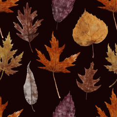 Seamless pattern with watercolor autumn leaves. Beautiful detailed fall maple, willow and birch leaves in pastel colors isolated on dark background