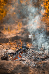Bonfire in the autumn forest. Vertical photo orientation