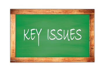 Fototapeta premium KEY ISSUES text written on green school board.