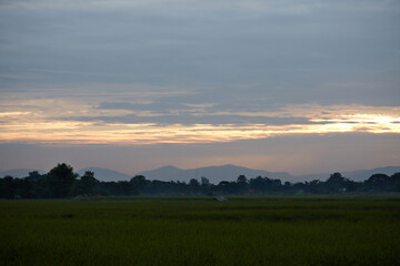 Rural field scenery, early morning