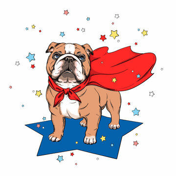 Cute english bulldog in superhero cape. Stylish image for printing on any surface	