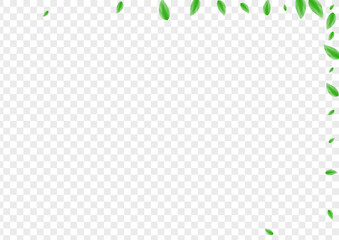 Greenish Leaves Background Transparent Vector. Leaf Pure Texture. Shape Design. Light Green Line Frame. Foliage Park.