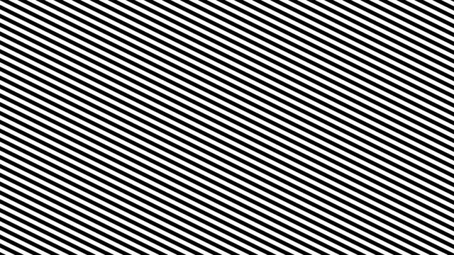 black stripes are moving on a white background. abstract background. 
