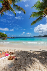 Fototapeta na wymiar Sunny tropical beach with coco palms and the turquoise sea on Caribbean island.