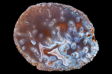 A polished slice of red-blue moss agate, isolated on a black background.