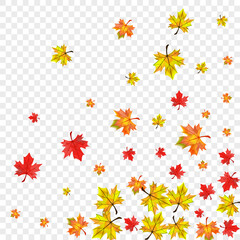 Ocher Foliage Background Transparent Vector. Floral Forest Illustration. Autumnal Celebrate Leaf. November Leaves Frame.