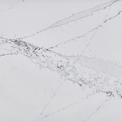Fototapeta premium white marble with black veins