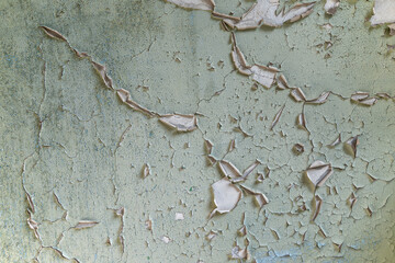 Peeling pale green paint on the wall of an abandoned house.
