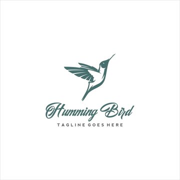Hummingbird Colibri Bird Logo Design Vector Image