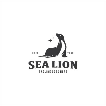 Sea Lion Logo Design Vector Image