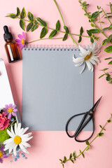 Herbs, flowers, scissors and notebook for making herbarium on pink