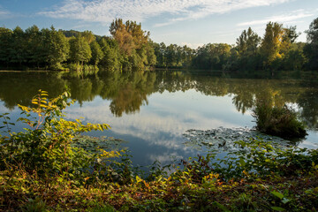 Autumn forest reflected in the mirror of the pond