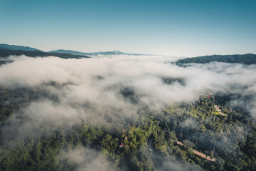 High angle view of the forest and fog in the morning